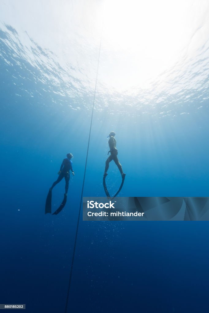 Two free divers Two free divers ascending from the depth using fins. Constant weight discipline Free Diving Stock Photo