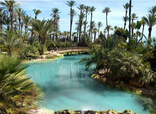 istock Park with palm trees, bridges and a blue lake 880190016