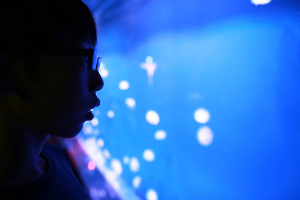 istock kid  at the aquarium 880195000