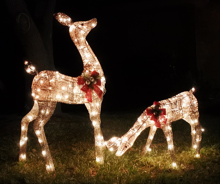 Two statues of reindeer decorated for Christmas with red wreaths glow with white fairy lights at night on a suburban front lawn.