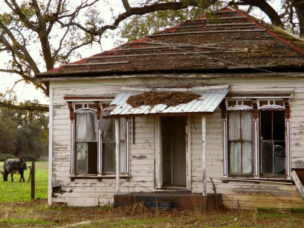 istock abandoned home buena vista 880198366