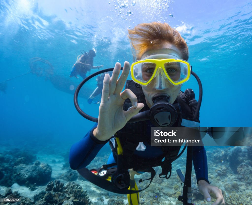 Female scuba diver Female scuba diver underwater showing ok signal Underwater Diving Stock Photo