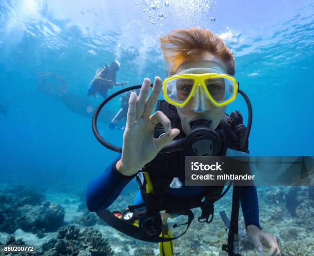 Female Scuba Diver Stock Photo - Download Image Now - Underwater Diving, Scuba Diving, OK Sign