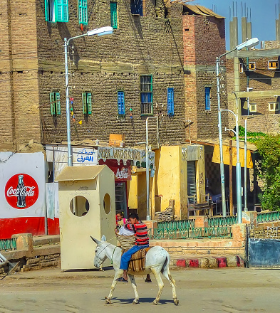 Cairo- October 26. Egyptian Boy Riding On a white  Donkey holding a basket in the street of Cairo, Egypt. October 26. Cairo- Egypt  2011