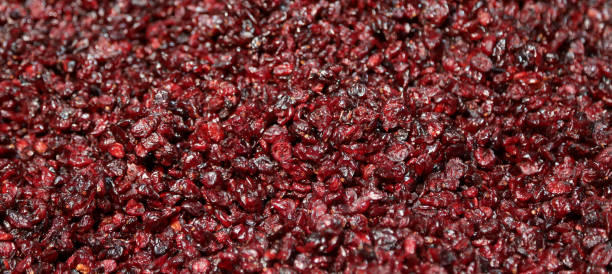 istock red background of Cranberries 880207744