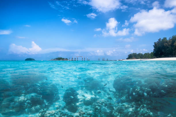 istock Crystal sea with blue sky and school fish on seashore 880213656