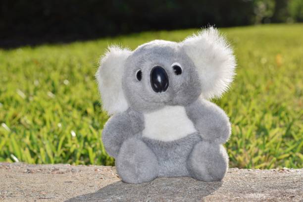 giocattolo koala - koala stuffed animal australia souvenir foto e immagini stock