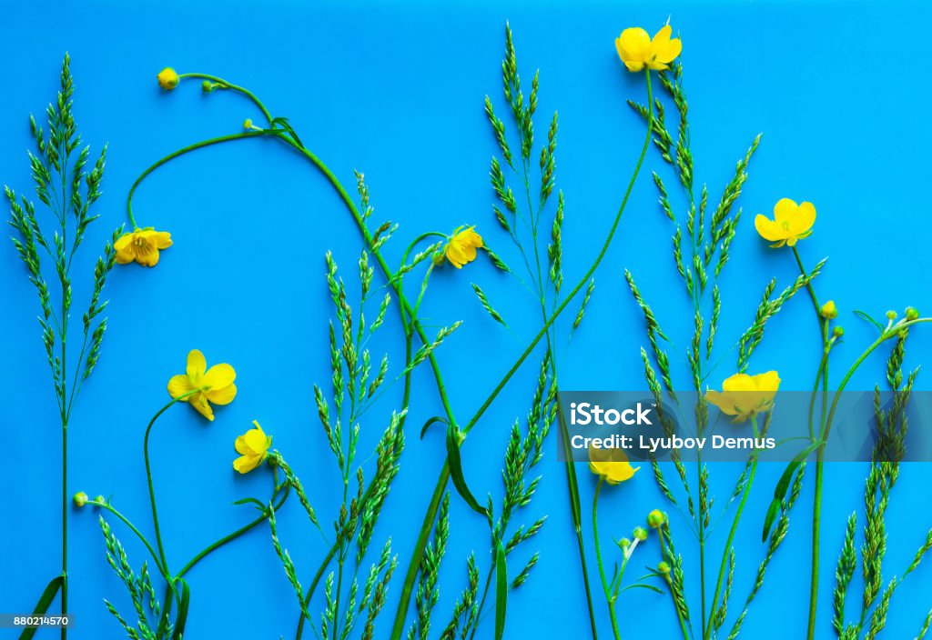 Foto de Abstrato De Cor Azul Com Flores Naturais E Folhas Verdes Paisagem  De Primavera e mais fotos de stock de Abstrato - iStock