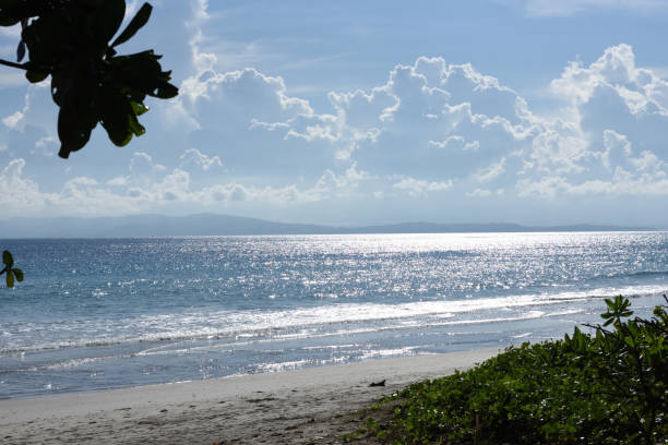 radhnagar beach, w: havelock - pictorially zdjęcia i obrazy z banku zdjęć