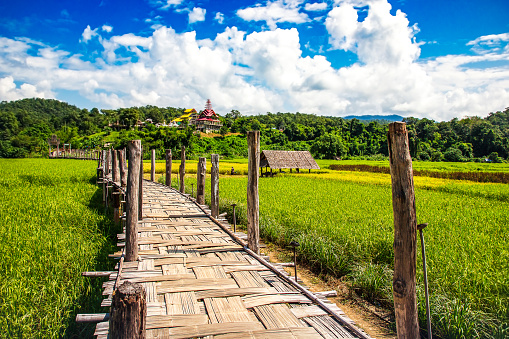 Beautiful view Zutongpae Bridge on rice field at Mae hong son,Thailand nature background