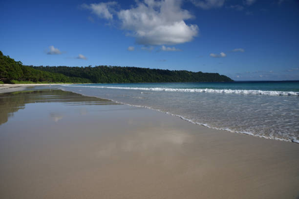 istock Radhnagar Beach, at Havelock 880229768