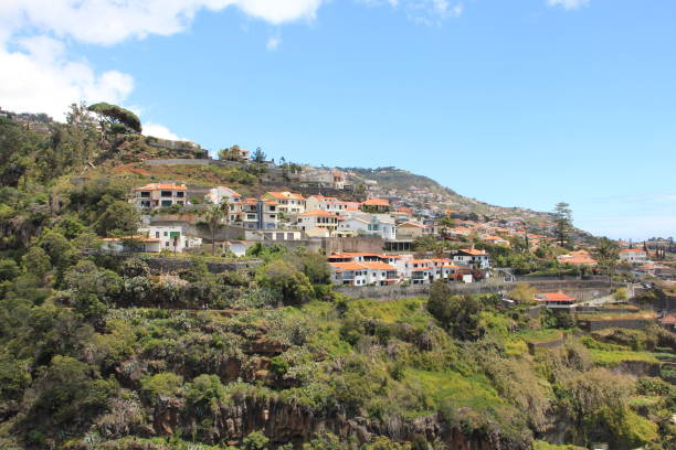 istock Funchal, Madeira Island, Portugal 880253472