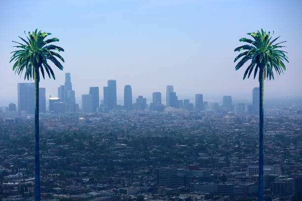 istock Los Angeles California Skyline Palm Trees 880268754