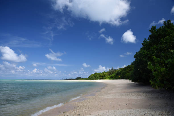 istock Neil Island Seascape - Andaman islands 880269116