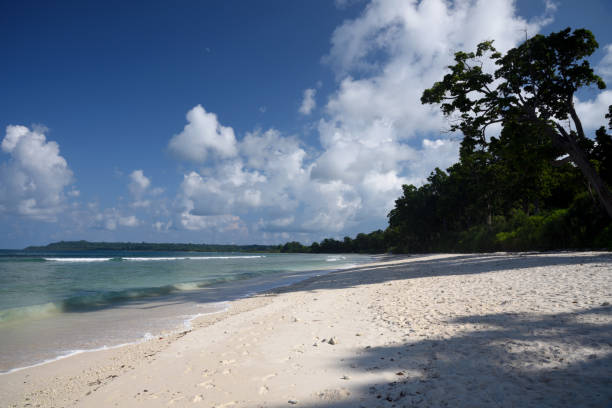istock Neil Island Seascape - Andaman islands 880271872