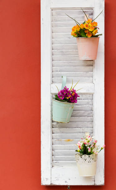 istock Flower pots on white wooden window on an orange wall 880272062