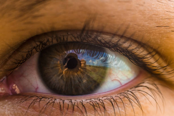 istock the woman's eyes close-up 880294606