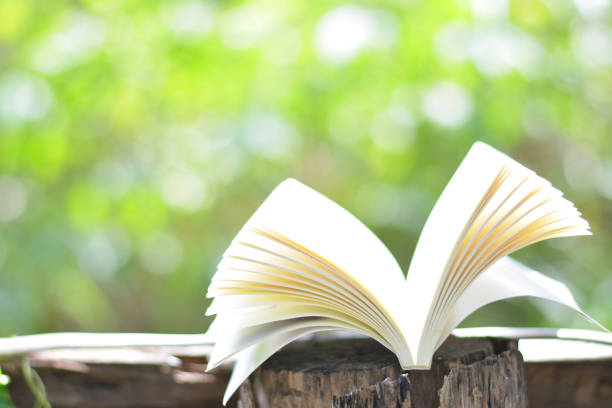 istock Open white book with green bokeh background. 880297566