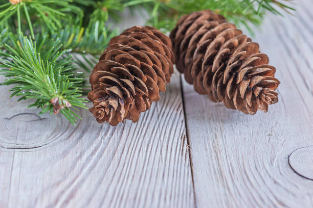 istock christmas holiday background 880308180