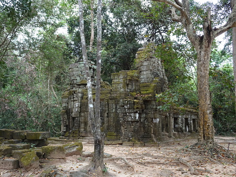 Ancient ruin at Ta Prohm Temple in Siem Reap, Cambodia