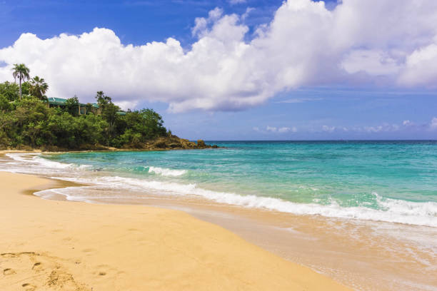 istock The Caribbean tropical beach 880323392