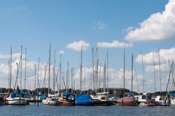 istock Many yachts near the pier 880323486