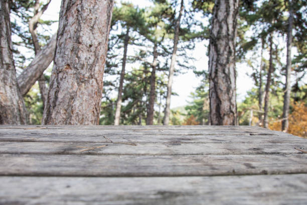 istock Old Brown wood. Wooden background. 880335530