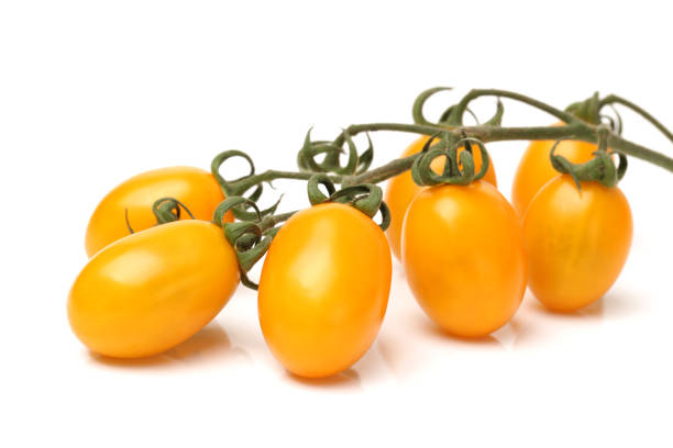 istock Yellow Cherry Tomatoes  Isolated on white background 880338556