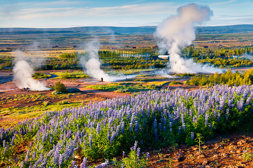 Erupting of the Great Geysir lies in Haukadalur valley on the slopes of Laugarfjall hill. Foggy summer morning in Southwestern Iceland, Europe. Artistic style post processed photo.