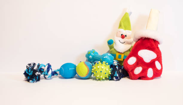 istock Christmas stocking and gifts for a dog 880350152