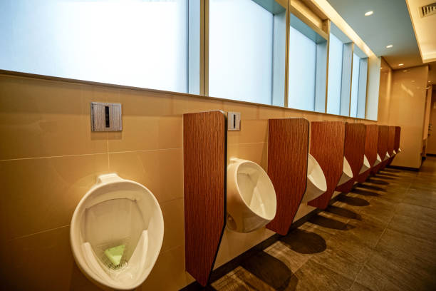 istock Interior of public toilet 880356644