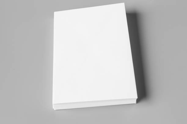 istock Blank portrait A4. brochure magazine isolated on gray, changeable background / white paper isolated on gray 880382984