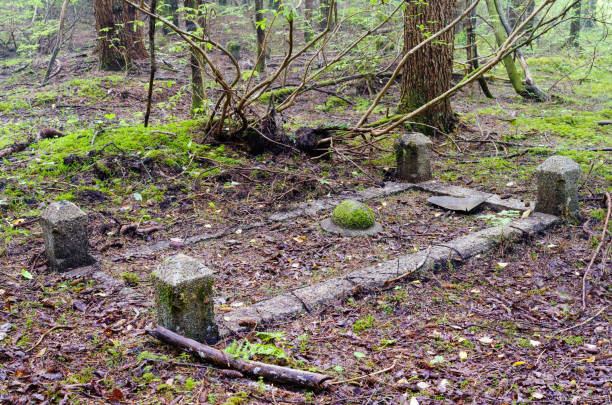 istock Anyox, British Columbia cemetery. 880397332