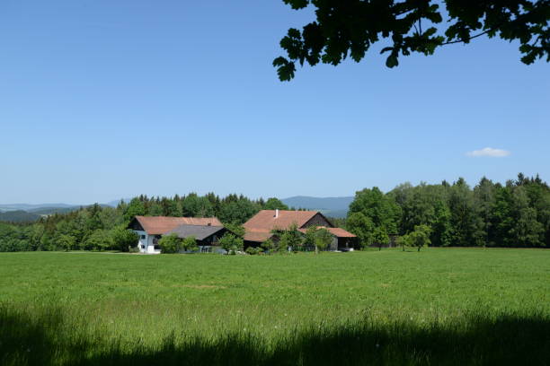 istock Houses at Viechtach, Germany 880397510