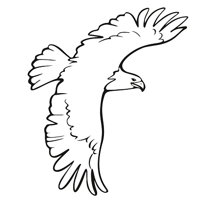 eagle icon illustration isolated vector sign symbol