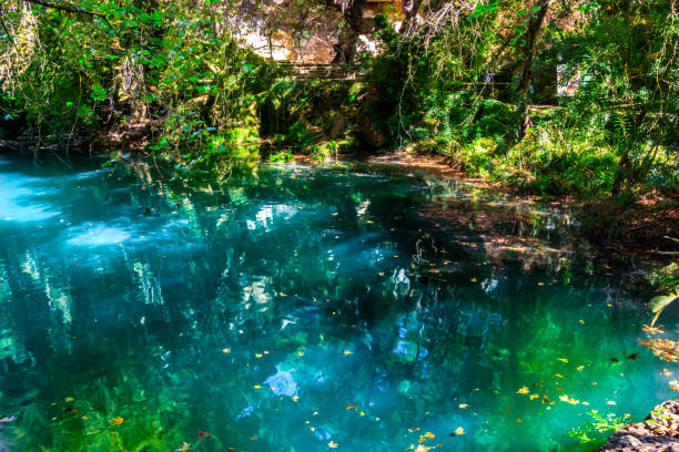 istock Kursunlu Waterfalls Turkey 880411118