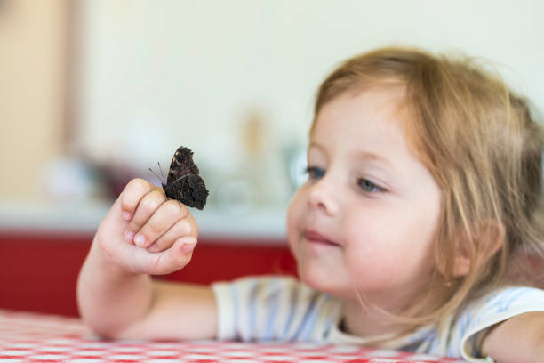 Little girl holds on the hand the Aglais io butterfly and watches for him Little girl holds on the hand the Aglais io butterfly and watches for him, observation lepidopterans stock pictures, royalty-free photos & images