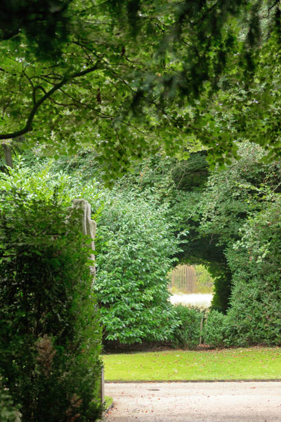istock Tunnel through bushes in a formal garden 880414346