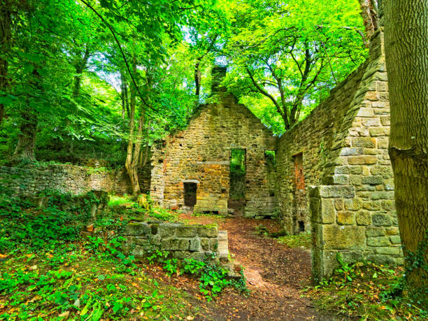 istock Abandoned, overgrown water mill 880414734