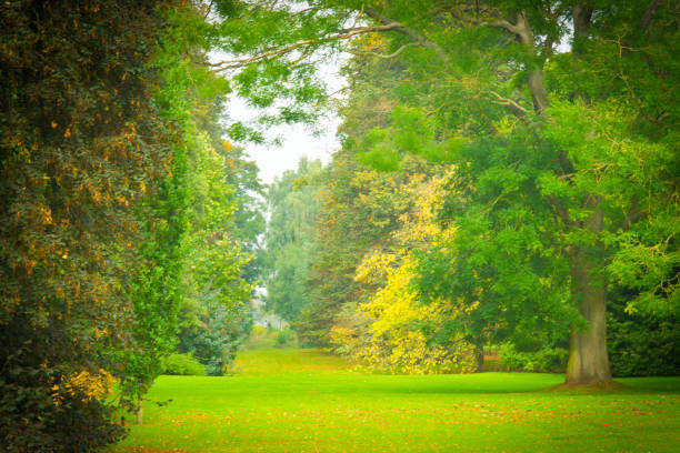 A formal garden with a path through trees with two unrecognisable people walking in the distance.
