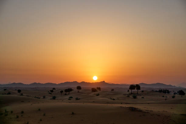 istock Sunset in the desert 880423690