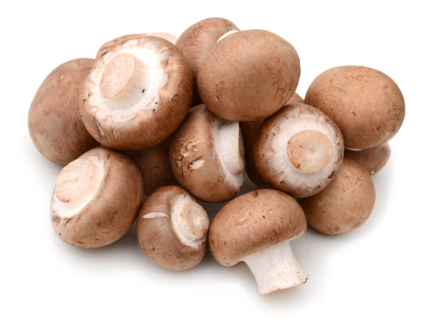 istock Collection champignon isolated on white background. Top view 880424592