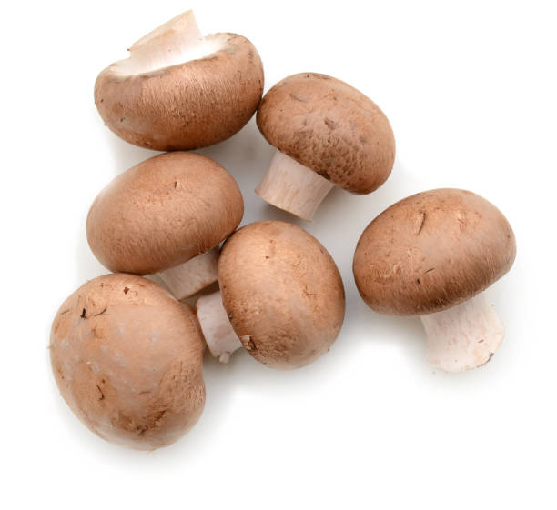 istock Collection champignon isolated on white background. Top view 880424636
