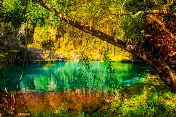 istock Kursunlu Waterfalls Turkey 880429448