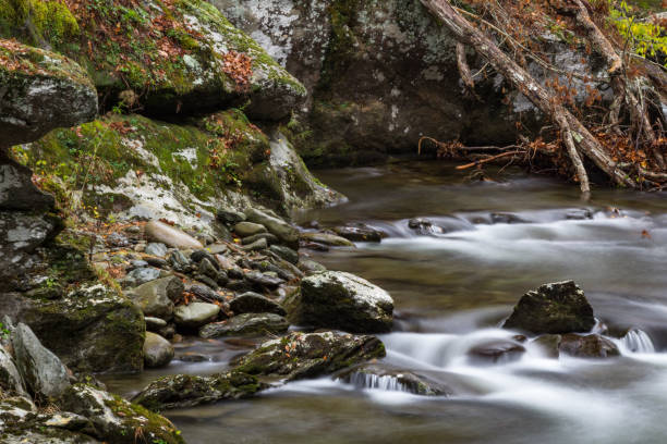 коллекция скал и замыкаются реки в великих дымчатых горах - north carolina mountain river autumn стоковые фото и изображения