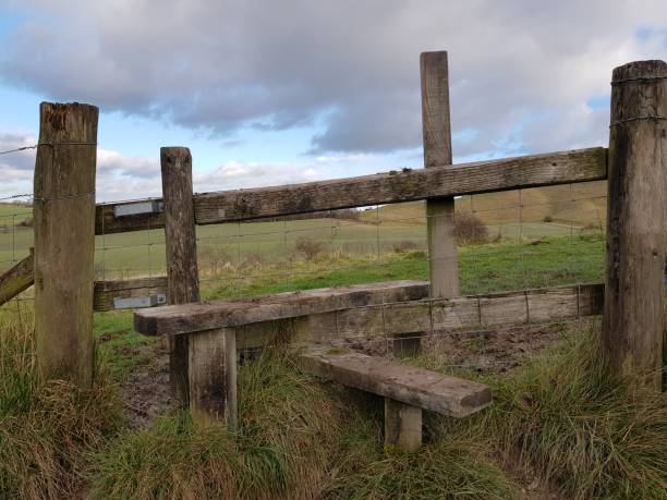 istock The white horse at Cherhill Down - Wiltshire 880441380