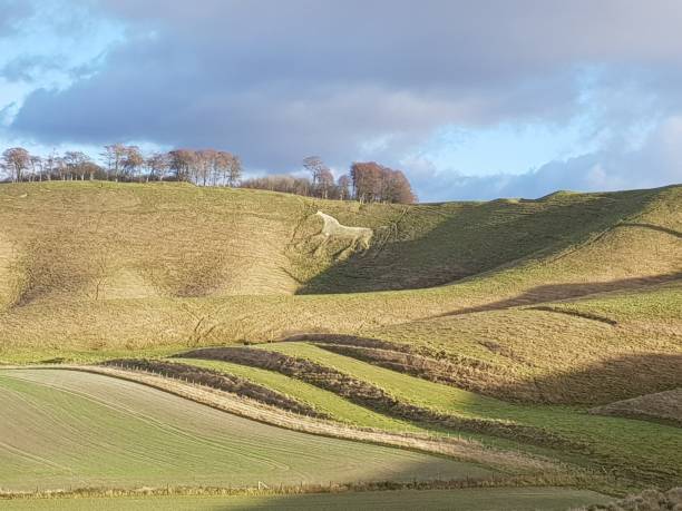 istock The white horse at Cherhill Down - Wiltshire 880441522