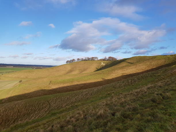 The white horse at Cherhill Down - Wiltshire
