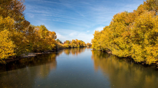 istock Fall trees line a river in Boise Idaho with blue sky 880446744