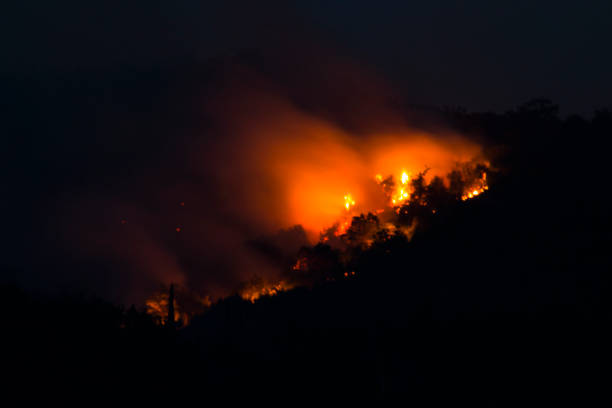 istock Forest fires by night in Montenegro 880447084